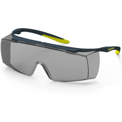 LT250 Safety Glasses